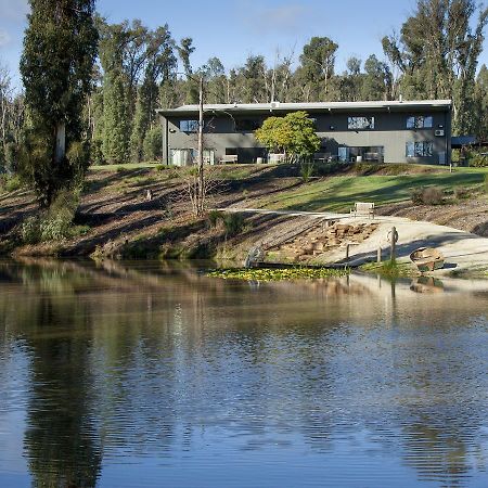Saladin Lodge Narbethong Exteriör bild