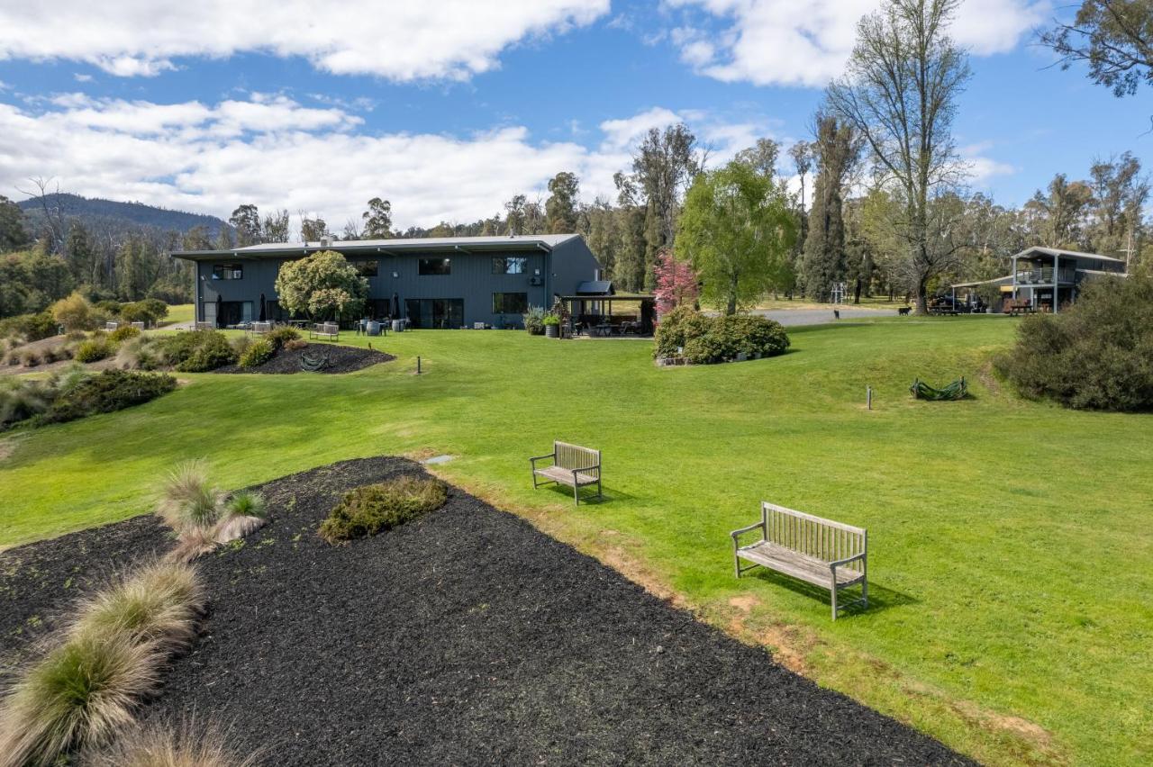 Saladin Lodge Narbethong Exteriör bild