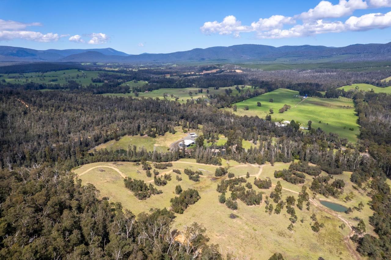 Saladin Lodge Narbethong Exteriör bild
