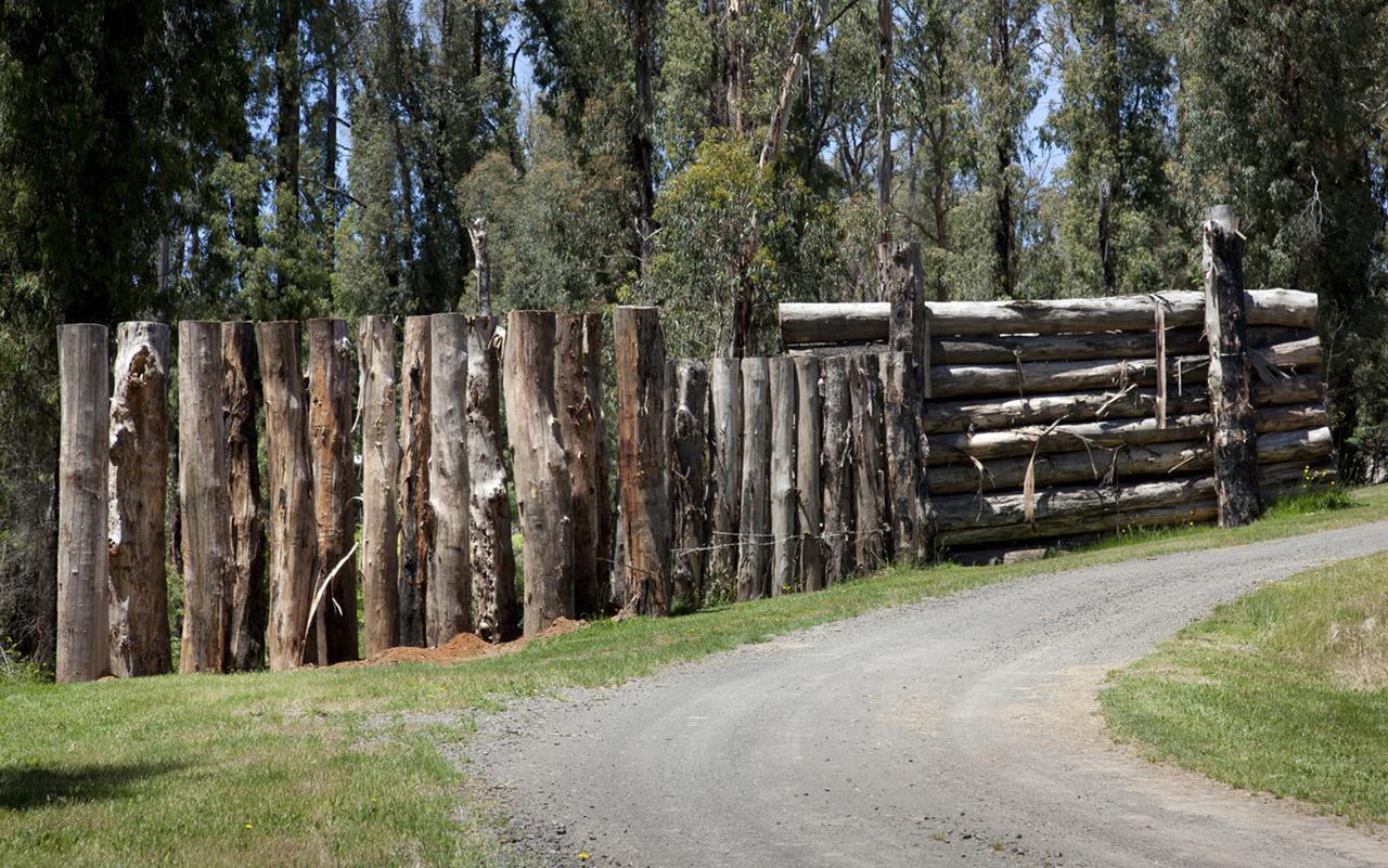 Saladin Lodge Narbethong Exteriör bild