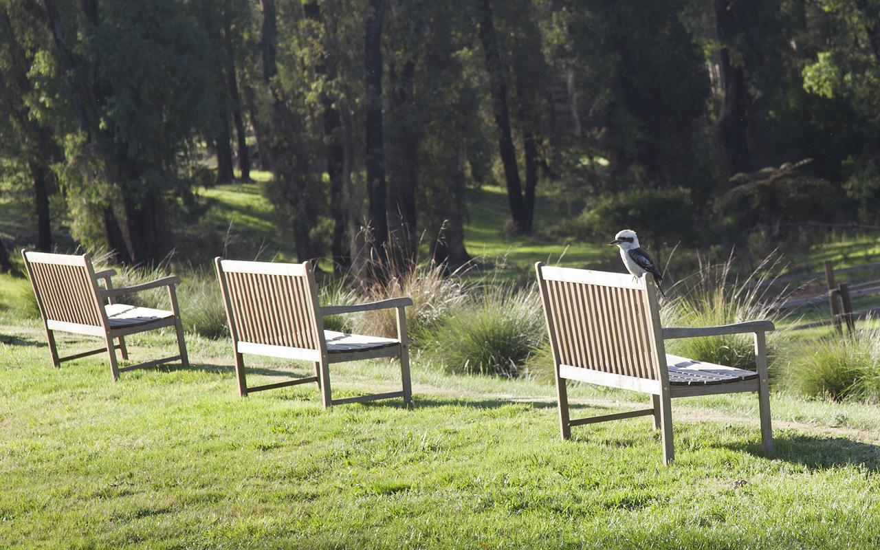 Saladin Lodge Narbethong Exteriör bild