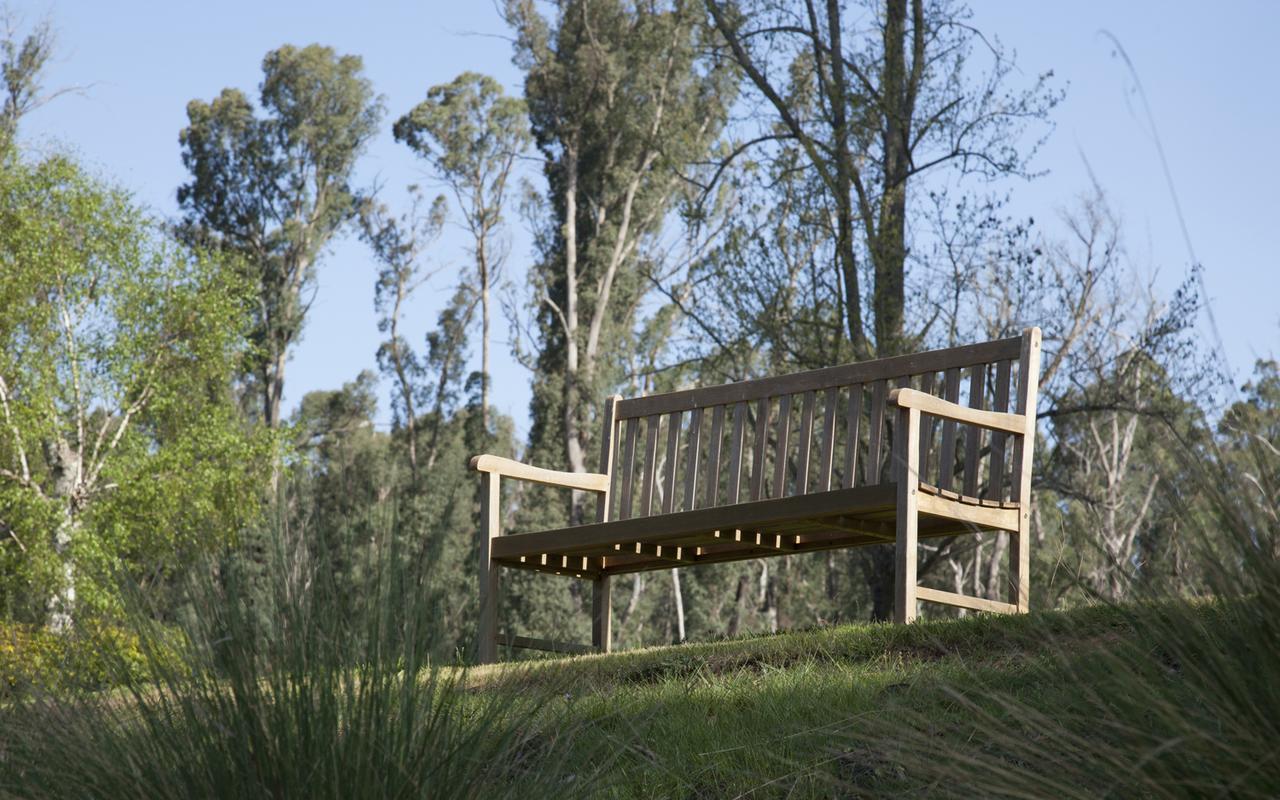 Saladin Lodge Narbethong Exteriör bild