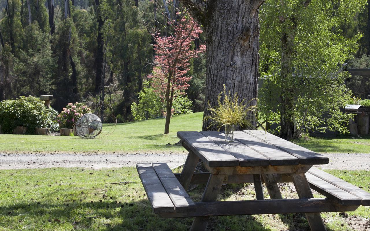 Saladin Lodge Narbethong Exteriör bild