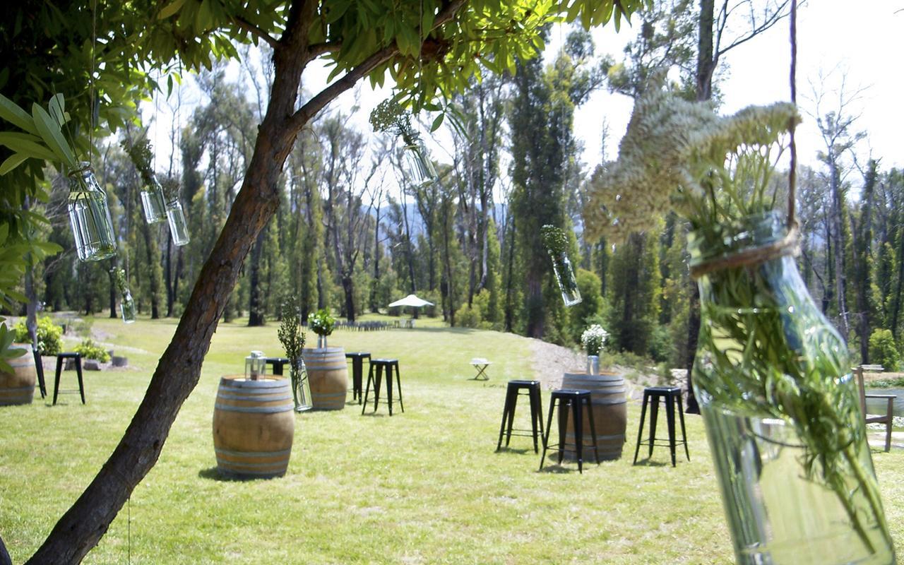Saladin Lodge Narbethong Exteriör bild
