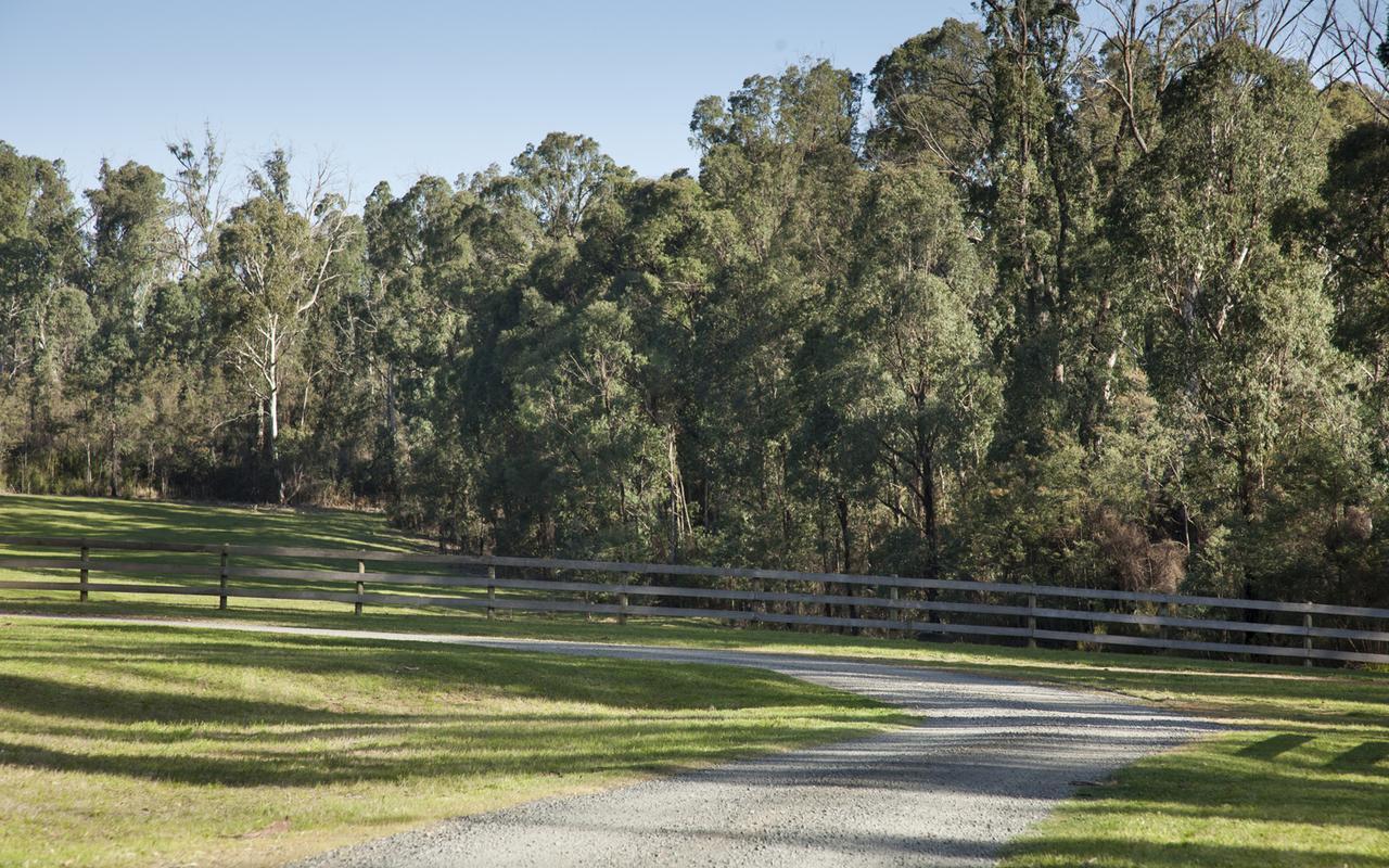 Saladin Lodge Narbethong Exteriör bild