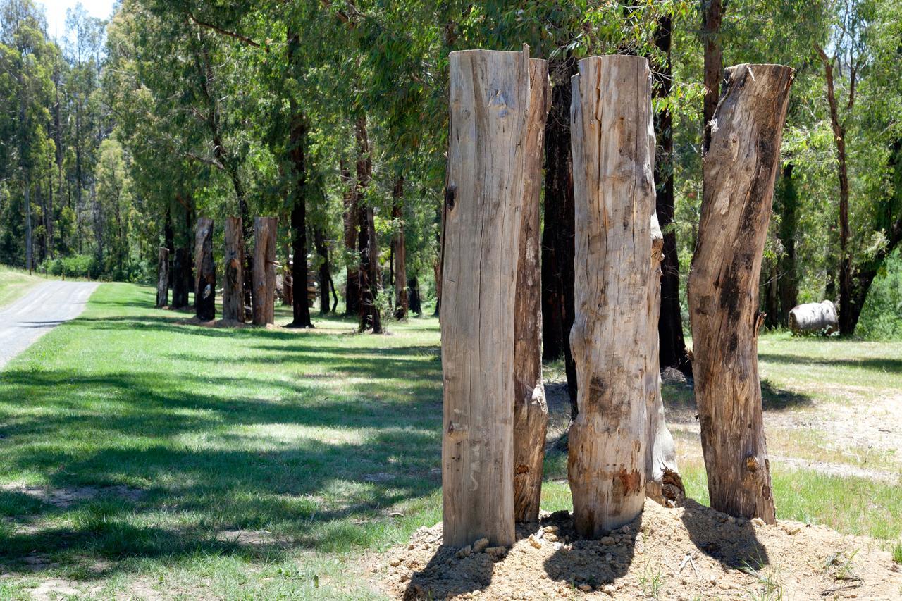 Saladin Lodge Narbethong Exteriör bild